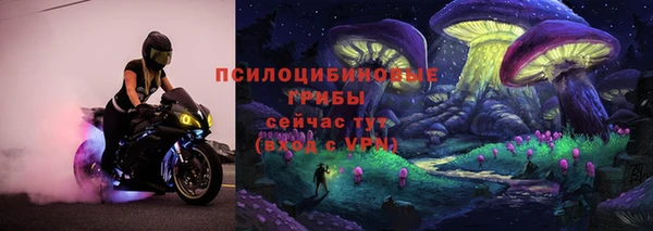 амф Алексеевка