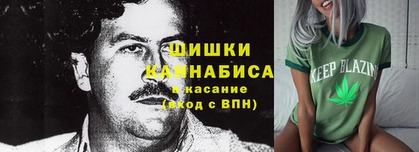 мдпв Новокубанск