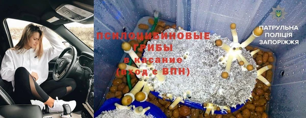 амф Алексеевка