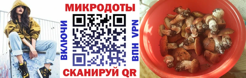сколько стоит Заинск Галлюциногенные грибы мицелий